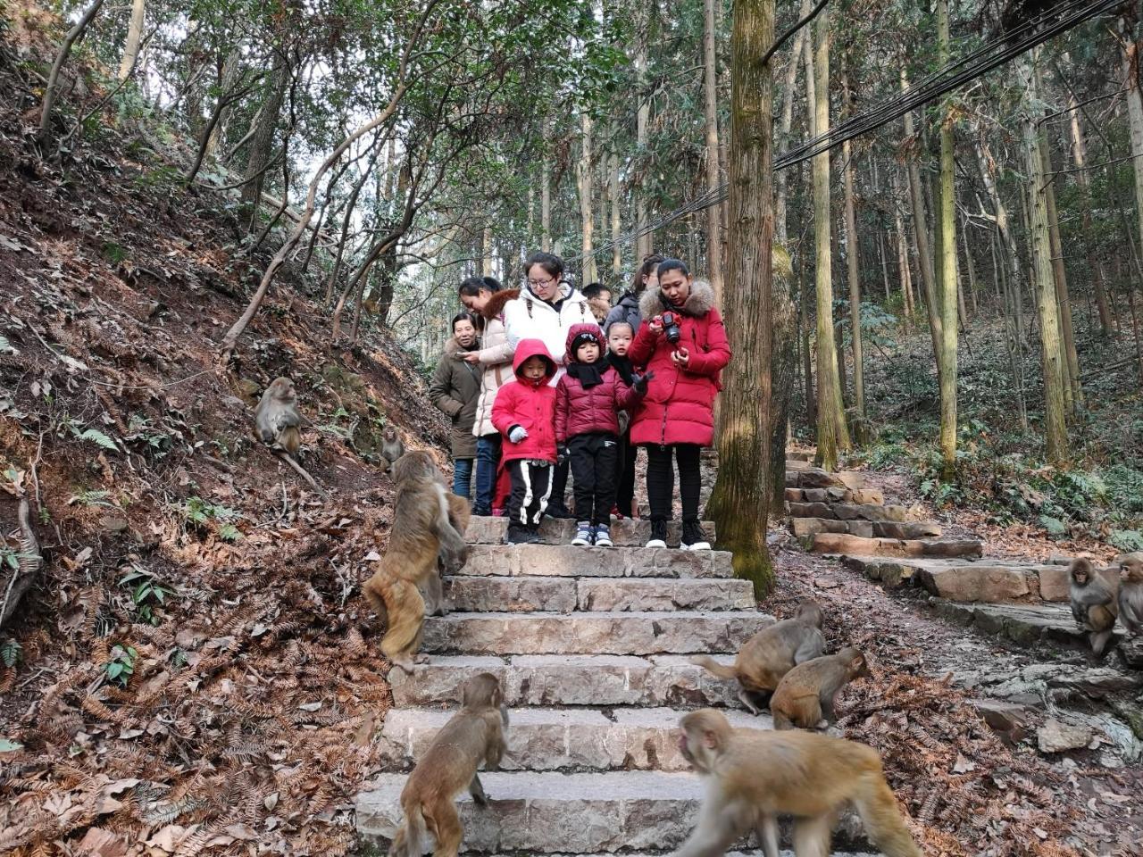 Zhangjiajie National Park Yuelu Homestay Kültér fotó