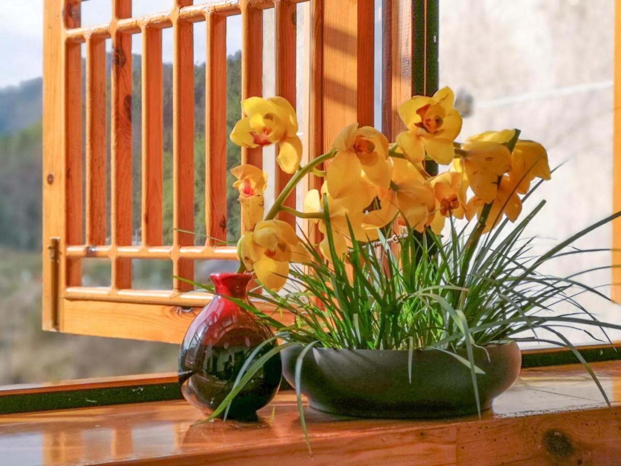 Zhangjiajie National Park Yuelu Homestay Kültér fotó